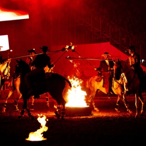 2012鄂爾多斯達(dá)拉特第二屆國(guó)際馬文化節(jié)-《馬術(shù)》雜志專(zhuān)題報(bào)道 ... ... ...
